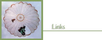 link